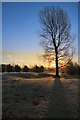 Sunrise on the golf course