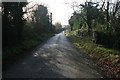O2249 : Country road looking south near Newbridge Demesne, Donabate, Co. Dublin. by Colm O hAonghusa