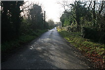 O2249 : Country road looking south near Newbridge Demesne, Donabate, Co. Dublin. by Colm O hAonghusa