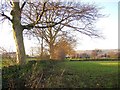 Field edge near Boothroyd, Rastrick