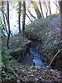 Drain feeds into the Severn