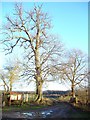 Dolydd Hafren Nature Reserve