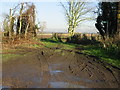 Entrance to fields from Westmarsh