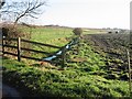 View along ditch at Great Ware Farm