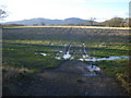 Harvesting tracks at Guarlford