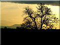 A winter late afternoon view towards Pendle Hill