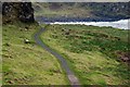 The Port Path near Portrush (2)