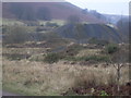 Old coal slag heap