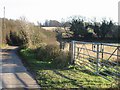 Gate,  lane and fields