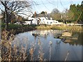 Village pond and pub in Coldred