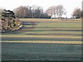 TR2847 : Long winter shadows across the fields by Nick Smith