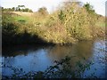 Pond near the entrance to Manor Farm