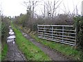 Lane at Tamnaghmore