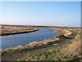 Drainage Channel, Rushenden Marshes