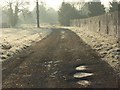 Farm track, Waltham St Lawrence