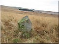 NY8995 : Possible boundary stone by Pete Saunders