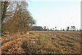 2007 : Arable land near Woolverton