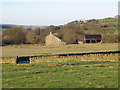 Pastures south of Catton