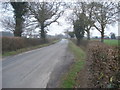 Lane to Coddington Cross