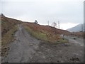 NN5435 : Hydro roads, Glen Lochay by Richard Webb