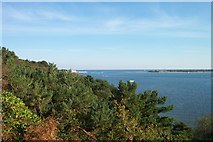 SZ0386 : Poole Harbour entrance from viewpoint on Brownsea Island by Chris Wood