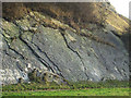 SO9392 : Silurian Limestone Slabs, Wren's Nest, Dudley by Roger  Kidd