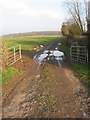 Muddy track towards Hallwood Green