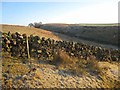 Wall and moorland near Gillalees