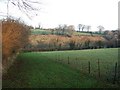 Valley below Newtown