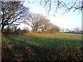 Field near Tredaule