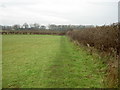 Footpath near Thurstaston