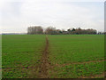 Footpath to Kents Farm