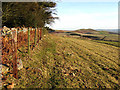 NT9912 : Hill farmland by Walter Baxter
