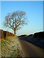 Minor Road Near Ingleston Cottages