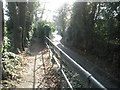 Raised pathway alongside Gillman Road