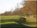 Pastures and woodland above the River East Allen