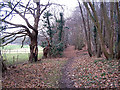 Footpath through Wardwell Wood