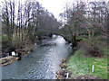 SO3958 : River Arrow at Pembridge by Jonathan Billinger