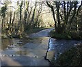 Ford across the Lynher