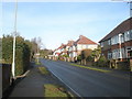 Looking up Farlington Avenue