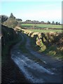 SX2279 : Farm road to Tregune by Derek Harper