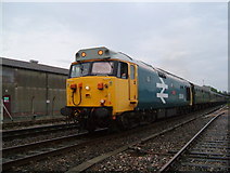 ST8026 : Class 50 held at Gillingham. by Clive Warneford
