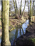 SU9853 : Whitmoor Common Stream by Colin Smith