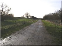 TF1808 : Access Road to Deeping Lakes Nature Reserve by Brian Green