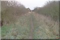 Footpath off Church Road, Eastchurch