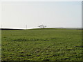 Tumulus in field beside the A39