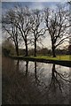 TL7273 : Trees reflecting in the River Lark by Bob Jones