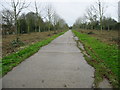 Track leading to Goodnestone Church