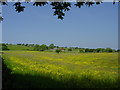 Hays Farm near Rushton Spencer