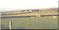 Rhydolion Farm from the Towyn road